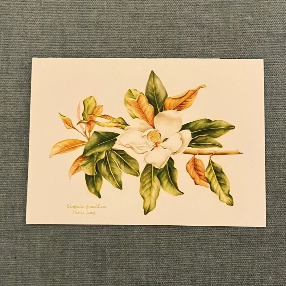 Magnolia The Colonial Williamsburg Foundation Card
